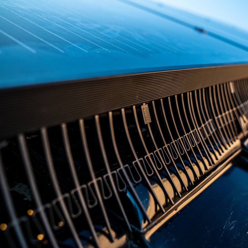 Bird Blocker on Solar Panel